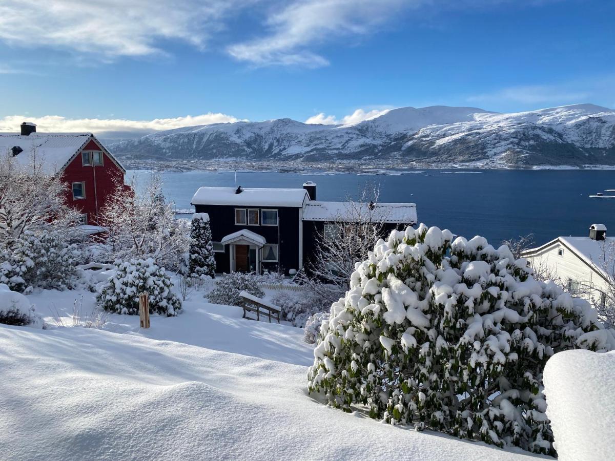 Great Place With View To The Mountains And Fjord Ålesund Kültér fotó